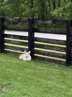 processed/a8380b54-446d-4f57-8dd5-1f8ea3bec621/facility/4d3eb1d8-c68f-4472-ac4a-3ee757937ce9