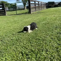 processed/a8380b54-446d-4f57-8dd5-1f8ea3bec621/facility/531bb114-54d6-4796-ba40-aab32b0be943