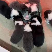 processed/a8380b54-446d-4f57-8dd5-1f8ea3bec621/facility/817d937c-c2e4-4097-97c0-e028fe3f8334