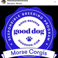 processed/a8380b54-446d-4f57-8dd5-1f8ea3bec621/facility/9dd1c0e8-4654-4c40-a1fe-1941db020c7f