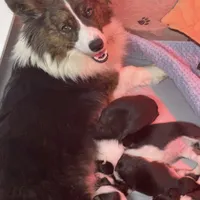 processed/a8380b54-446d-4f57-8dd5-1f8ea3bec621/facility/a6ed1258-6702-45bb-a689-a251475dcd66