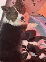 processed/a8380b54-446d-4f57-8dd5-1f8ea3bec621/facility/a6ed1258-6702-45bb-a689-a251475dcd66