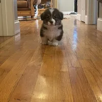 processed/a8380b54-446d-4f57-8dd5-1f8ea3bec621/facility/cefc6fd2-bc36-4e9e-ad36-4061983db9e0