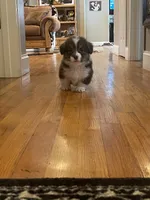 processed/a8380b54-446d-4f57-8dd5-1f8ea3bec621/facility/cefc6fd2-bc36-4e9e-ad36-4061983db9e0