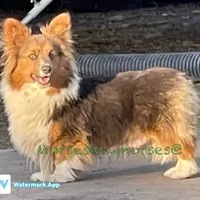 processed/a8380b54-446d-4f57-8dd5-1f8ea3bec621/facility/f0685d8b-5d29-48c1-9bb5-637e4c4ceac6