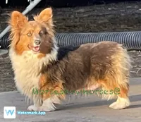 processed/a8380b54-446d-4f57-8dd5-1f8ea3bec621/facility/f0685d8b-5d29-48c1-9bb5-637e4c4ceac6