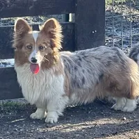 processed/a8380b54-446d-4f57-8dd5-1f8ea3bec621/facility/f450ffd6-53cc-4b5d-9091-051d518333e3