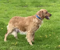 processed/a83bd0fd-eaf1-4b16-9c6a-0aedd5411ec4/facility/1e0f7cb5-c492-460b-8a58-bdbe38ab9faf