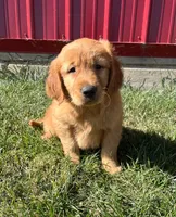 processed/a83bd0fd-eaf1-4b16-9c6a-0aedd5411ec4/listing/1d9c5ecf-8ceb-4280-a1ba-2d67ca5eac90/cbe18630-104a-4e75-9435-fde806facbb3