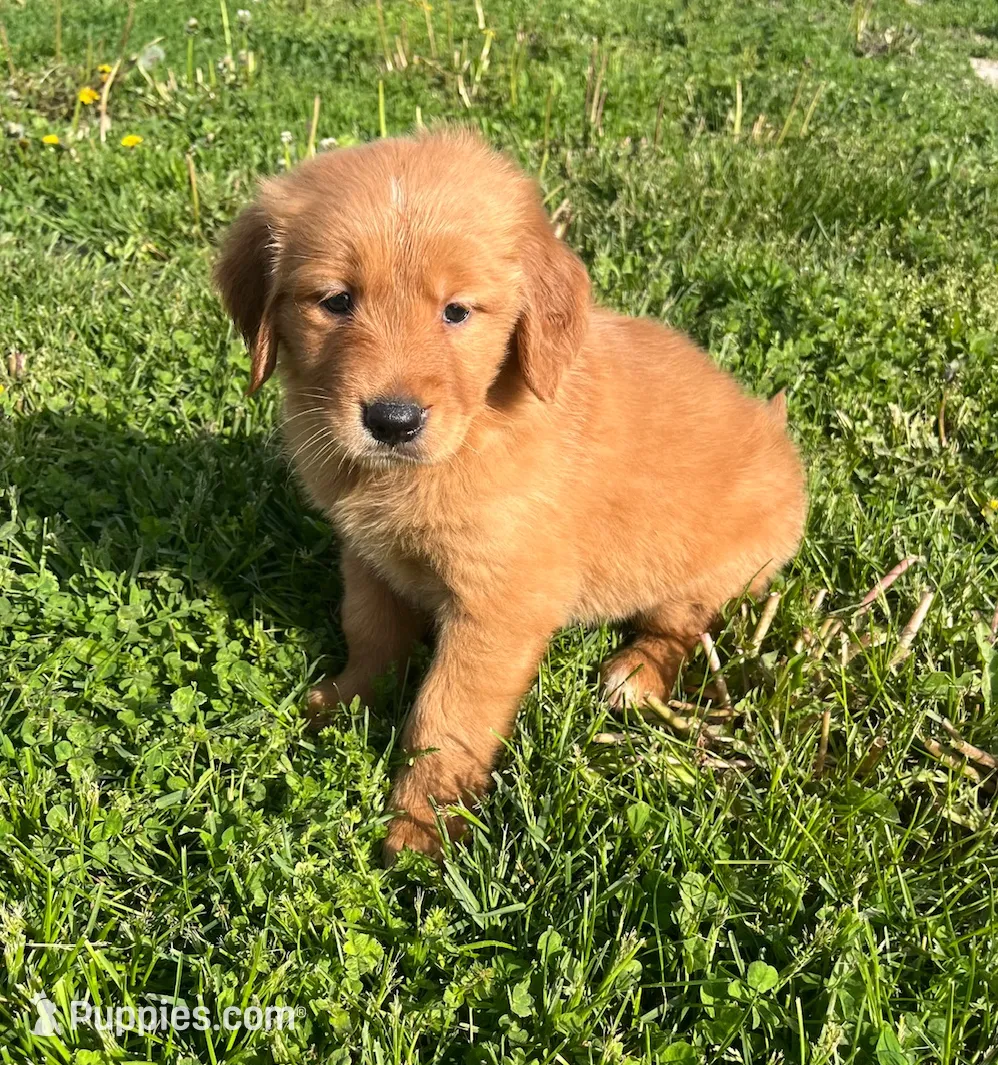 processed/a83bd0fd-eaf1-4b16-9c6a-0aedd5411ec4/listing/be78a623-fbf5-441e-bde6-60d864dbbd27/9a62620b-3681-4c74-b448-40cc3e0b3909