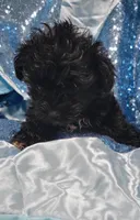 processed/a84a9a45-fc49-42be-9c30-ff4f33766d7c/listing/cae86e06-6bcc-4e13-9d0f-f93f1b2d0a6c/82fec201-a54b-4bd0-bab4-066b2bd98f98