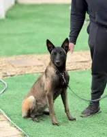 processed/a8530b14-0196-47a6-ad6d-eca1590f6b77/facility/0d0b7a15-64df-4f6e-8f0a-8974640f86dd