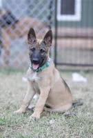 processed/a8530b14-0196-47a6-ad6d-eca1590f6b77/facility/13c47933-f2cf-4217-96f2-a48fa4b54b9a