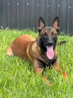 processed/a8530b14-0196-47a6-ad6d-eca1590f6b77/facility/979aa307-160e-4b77-b1fc-9d16e8711dd8