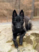 processed/a8530b14-0196-47a6-ad6d-eca1590f6b77/facility/c24eddf3-ab29-4d87-abd4-365ecf96e34d