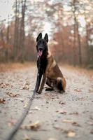 processed/a8530b14-0196-47a6-ad6d-eca1590f6b77/facility/d241d1ed-c622-4d78-8e70-da12ee5fa54f