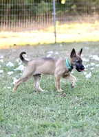 processed/a8530b14-0196-47a6-ad6d-eca1590f6b77/facility/e3605996-1486-4c55-9fbd-2815143ec83b