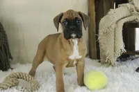 processed/a8691734-ec5d-4cae-919c-f7c884b6b56d/listing/03fdf0b9-1ed2-4587-900a-b8b4cab4dd30/0900b555-377f-4e58-9782-e69986728a7e