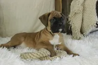 processed/a8691734-ec5d-4cae-919c-f7c884b6b56d/listing/03fdf0b9-1ed2-4587-900a-b8b4cab4dd30/180c1b15-7105-4d10-95c6-4374b93b2dbc