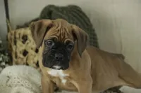 processed/a8691734-ec5d-4cae-919c-f7c884b6b56d/listing/03fdf0b9-1ed2-4587-900a-b8b4cab4dd30/324a47ac-b4de-4660-99a2-d2010c973a8e