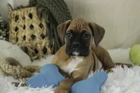 processed/a8691734-ec5d-4cae-919c-f7c884b6b56d/listing/03fdf0b9-1ed2-4587-900a-b8b4cab4dd30/4e07c8cd-f277-44bc-9555-55f1e99a11ef