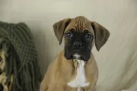 processed/a8691734-ec5d-4cae-919c-f7c884b6b56d/listing/03fdf0b9-1ed2-4587-900a-b8b4cab4dd30/5947ad8d-da63-4f68-a7a4-0e2e60798549