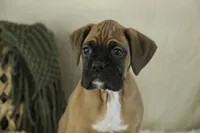 processed/a8691734-ec5d-4cae-919c-f7c884b6b56d/listing/03fdf0b9-1ed2-4587-900a-b8b4cab4dd30/ea14b9af-1f74-483f-a406-c37bf7d29fa5