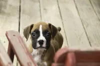 processed/a8691734-ec5d-4cae-919c-f7c884b6b56d/listing/083b7fc4-81b9-4905-bc23-223d4fb632c6/105c7592-72c6-4629-9127-117e69b14983