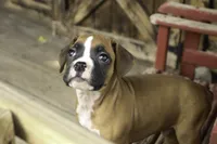 processed/a8691734-ec5d-4cae-919c-f7c884b6b56d/listing/083b7fc4-81b9-4905-bc23-223d4fb632c6/44725868-e360-4eff-8bbb-1c0826ca08e4