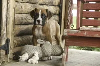 processed/a8691734-ec5d-4cae-919c-f7c884b6b56d/listing/083b7fc4-81b9-4905-bc23-223d4fb632c6/5a0b477f-1c3e-469c-b54d-ceb8b3ce707c