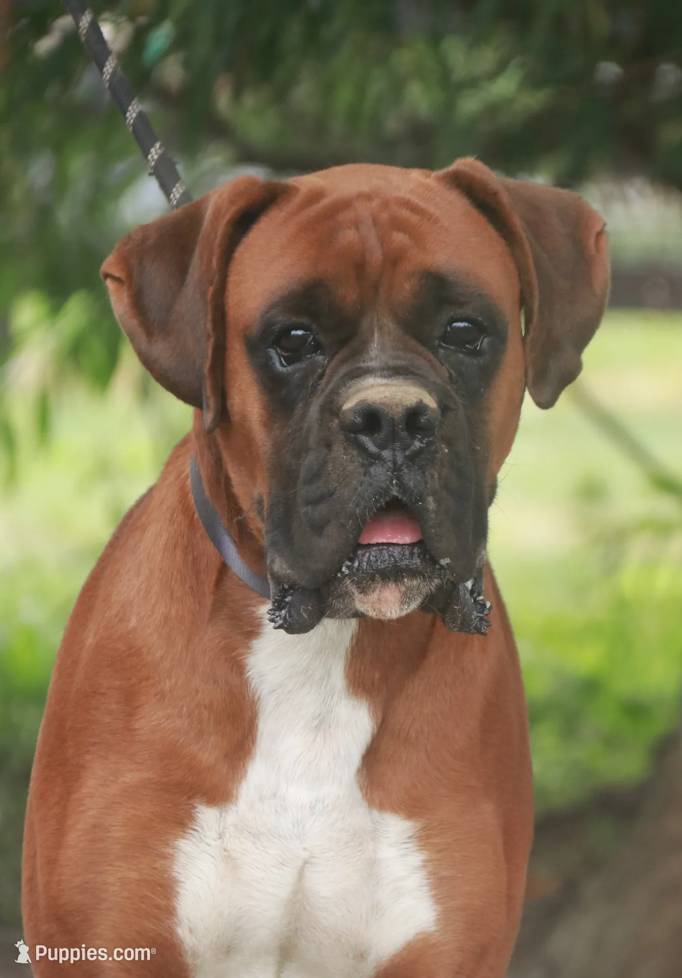 processed/a8691734-ec5d-4cae-919c-f7c884b6b56d/listing/083b7fc4-81b9-4905-bc23-223d4fb632c6/8ea4a28c-20df-48e5-aee2-9a9744db2332