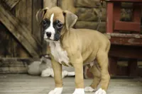 processed/a8691734-ec5d-4cae-919c-f7c884b6b56d/listing/083b7fc4-81b9-4905-bc23-223d4fb632c6/8f7982c2-02a6-4646-b984-f6a47e531f83