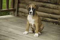 processed/a8691734-ec5d-4cae-919c-f7c884b6b56d/listing/083b7fc4-81b9-4905-bc23-223d4fb632c6/d2750cf0-f246-49a6-8499-7274fef06b3e