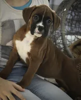 processed/a8691734-ec5d-4cae-919c-f7c884b6b56d/listing/0c6ebd77-513b-4203-ae42-b5bb78dfe718/1ba4de51-4cf9-4749-bf85-0f13d7271333