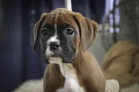 processed/a8691734-ec5d-4cae-919c-f7c884b6b56d/listing/0c6ebd77-513b-4203-ae42-b5bb78dfe718/70b53f81-3c4a-4dc8-9736-db9e1ef97343