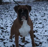 processed/a8691734-ec5d-4cae-919c-f7c884b6b56d/listing/10acbb01-b379-4a68-a8dd-41562a1eb375/6a0fd5ac-44c9-494a-9382-5541abb0a0af