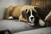 processed/a8691734-ec5d-4cae-919c-f7c884b6b56d/listing/10acbb01-b379-4a68-a8dd-41562a1eb375/71f6f046-6359-432a-a930-bce9d340db38