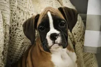 processed/a8691734-ec5d-4cae-919c-f7c884b6b56d/listing/10acbb01-b379-4a68-a8dd-41562a1eb375/c3900001-19af-4e56-b6bd-d52315353d3c