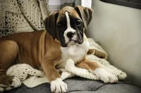 processed/a8691734-ec5d-4cae-919c-f7c884b6b56d/listing/10acbb01-b379-4a68-a8dd-41562a1eb375/e09363df-5216-472a-9f83-e3622ca02874