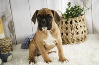 processed/a8691734-ec5d-4cae-919c-f7c884b6b56d/listing/211bc8f5-abcd-4d84-bbd2-c50c586d9d16/b50adbbd-358b-4cce-a541-1f5b3e790b81