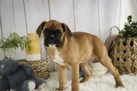 processed/a8691734-ec5d-4cae-919c-f7c884b6b56d/listing/211bc8f5-abcd-4d84-bbd2-c50c586d9d16/dcd31c20-0bdd-465c-b462-8a2b18e7ae13