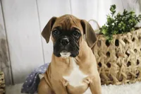 processed/a8691734-ec5d-4cae-919c-f7c884b6b56d/listing/211bc8f5-abcd-4d84-bbd2-c50c586d9d16/ffd3f9ac-9d03-4751-b4cc-74beae9aede5