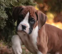 processed/a8691734-ec5d-4cae-919c-f7c884b6b56d/listing/2ca05f7e-75f5-4880-bb6a-8c52b6e4f647/10ac2722-7796-46ee-bb4f-fc42091a3fe1