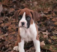 processed/a8691734-ec5d-4cae-919c-f7c884b6b56d/listing/2ca05f7e-75f5-4880-bb6a-8c52b6e4f647/85e636a2-4d60-434b-927d-0a671b5f6ebf