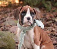 processed/a8691734-ec5d-4cae-919c-f7c884b6b56d/listing/2ca05f7e-75f5-4880-bb6a-8c52b6e4f647/a9c1320e-8bb2-4fd5-9f5a-e12c16946945