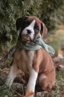 processed/a8691734-ec5d-4cae-919c-f7c884b6b56d/listing/2ca05f7e-75f5-4880-bb6a-8c52b6e4f647/fb0c9896-2ada-474e-8980-f275dacdef65