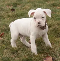 processed/a8691734-ec5d-4cae-919c-f7c884b6b56d/listing/33080520-4b51-4edc-a93f-1e8ef238f9e3/134a9687-0fca-422a-8c0d-f283ac0b37ef