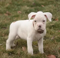 processed/a8691734-ec5d-4cae-919c-f7c884b6b56d/listing/33080520-4b51-4edc-a93f-1e8ef238f9e3/24d82c02-660e-4fd0-8c01-8b6f75e417d0