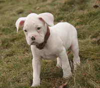 processed/a8691734-ec5d-4cae-919c-f7c884b6b56d/listing/33080520-4b51-4edc-a93f-1e8ef238f9e3/385b8906-e7b3-426b-a388-9b0685417793