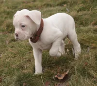 processed/a8691734-ec5d-4cae-919c-f7c884b6b56d/listing/33080520-4b51-4edc-a93f-1e8ef238f9e3/fd27abcc-9b1c-43a4-bfdf-1f4dfa05e691